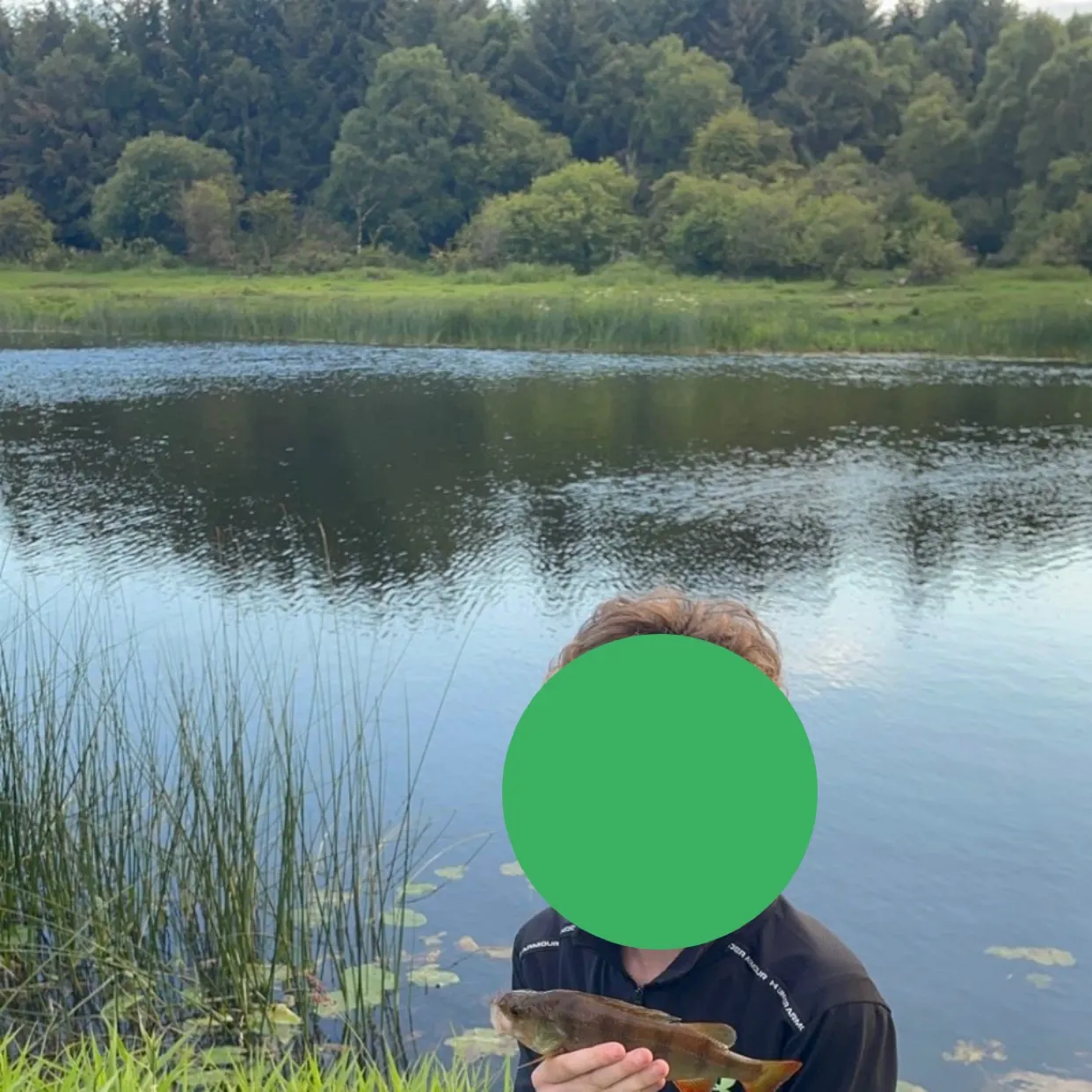 The most recent European perch catches on Fishbrain