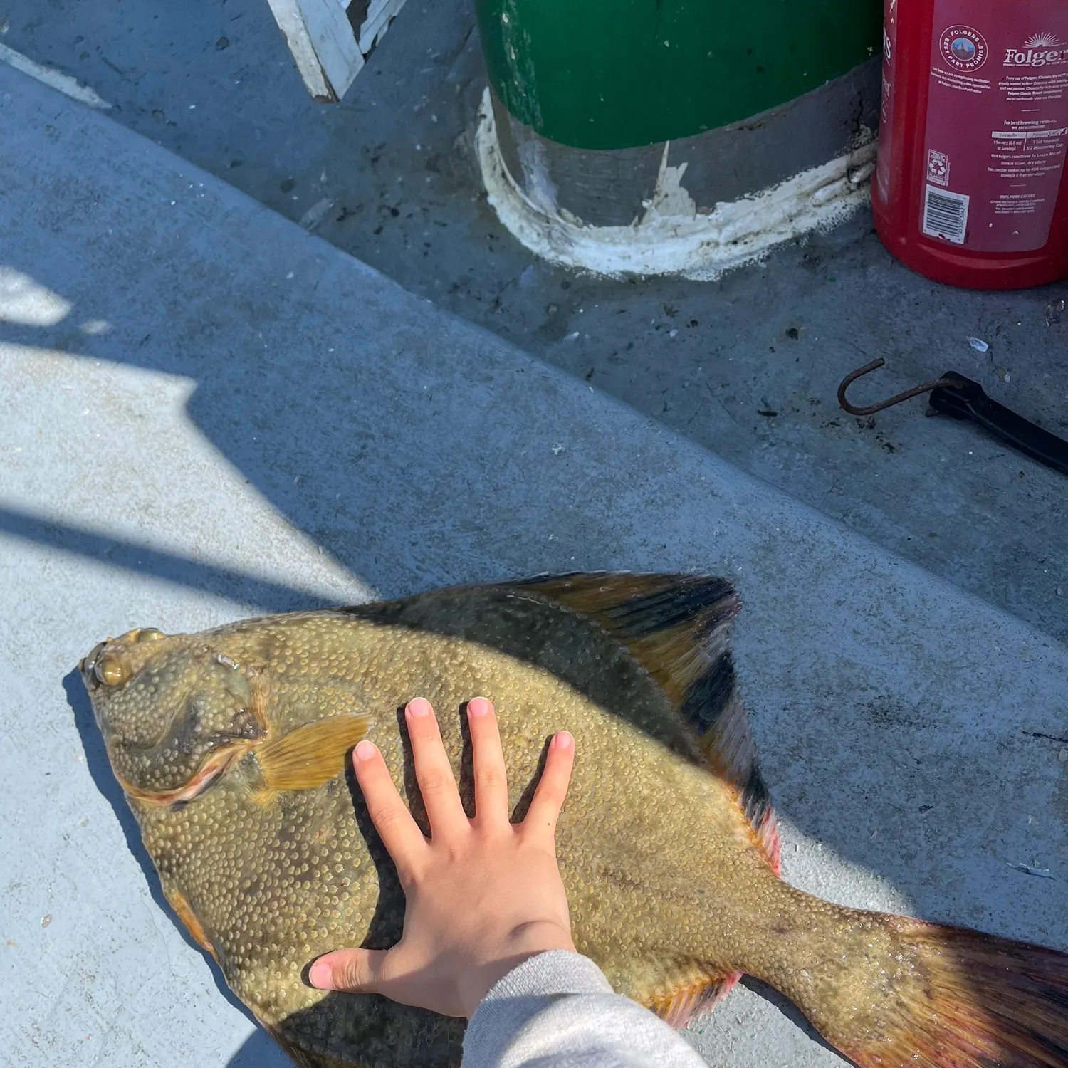 The most recent Starry flounder catches on Fishbrain