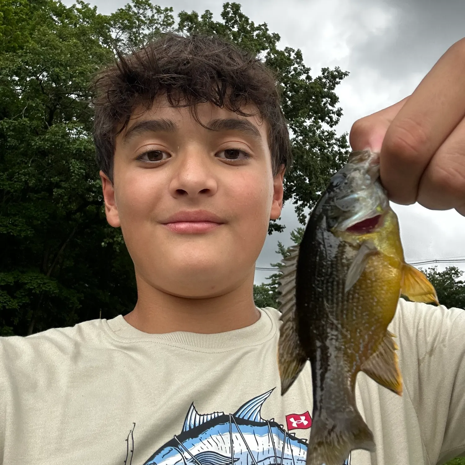 Green sunfish caught on Fishbrain