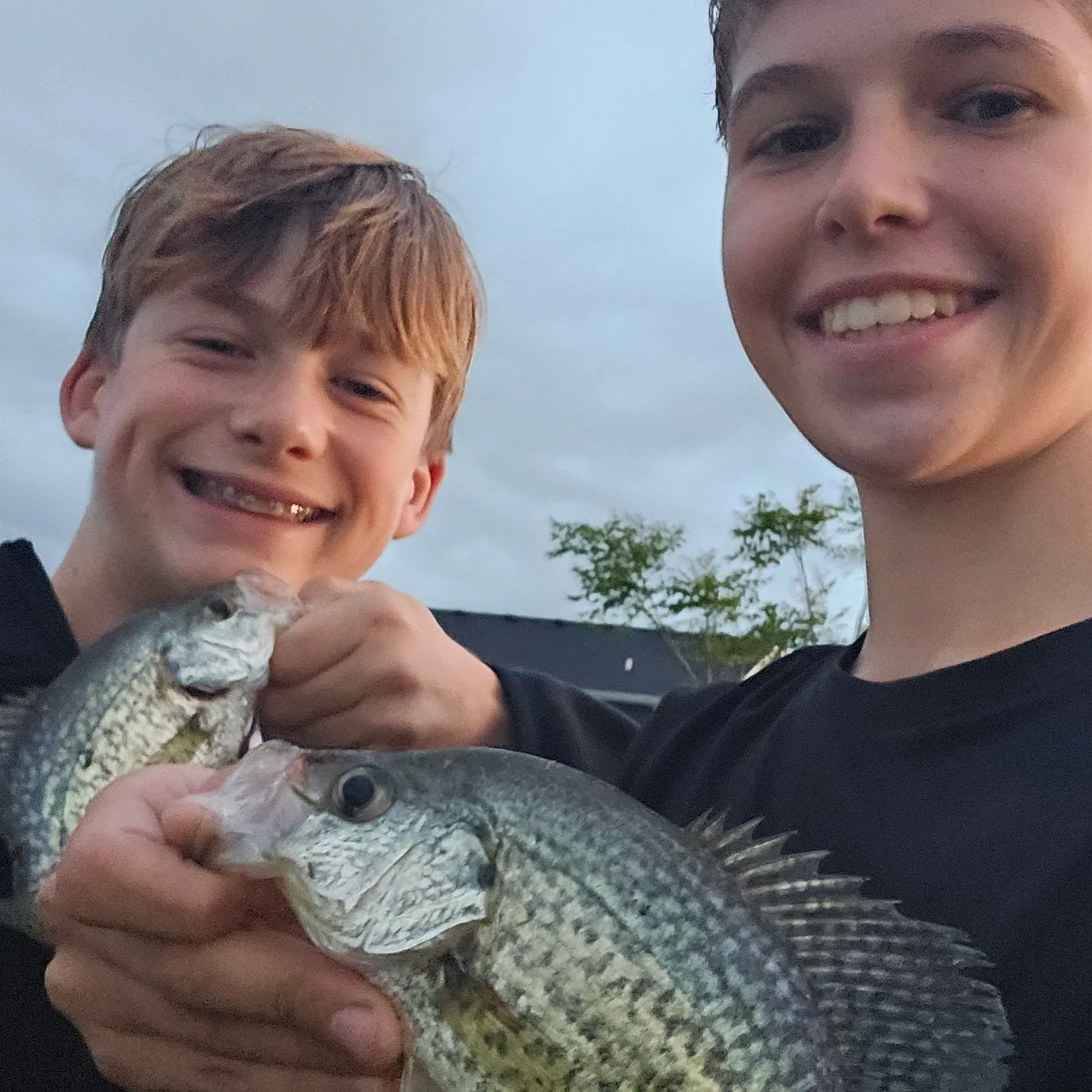 Black crappie caught on Fishbrain