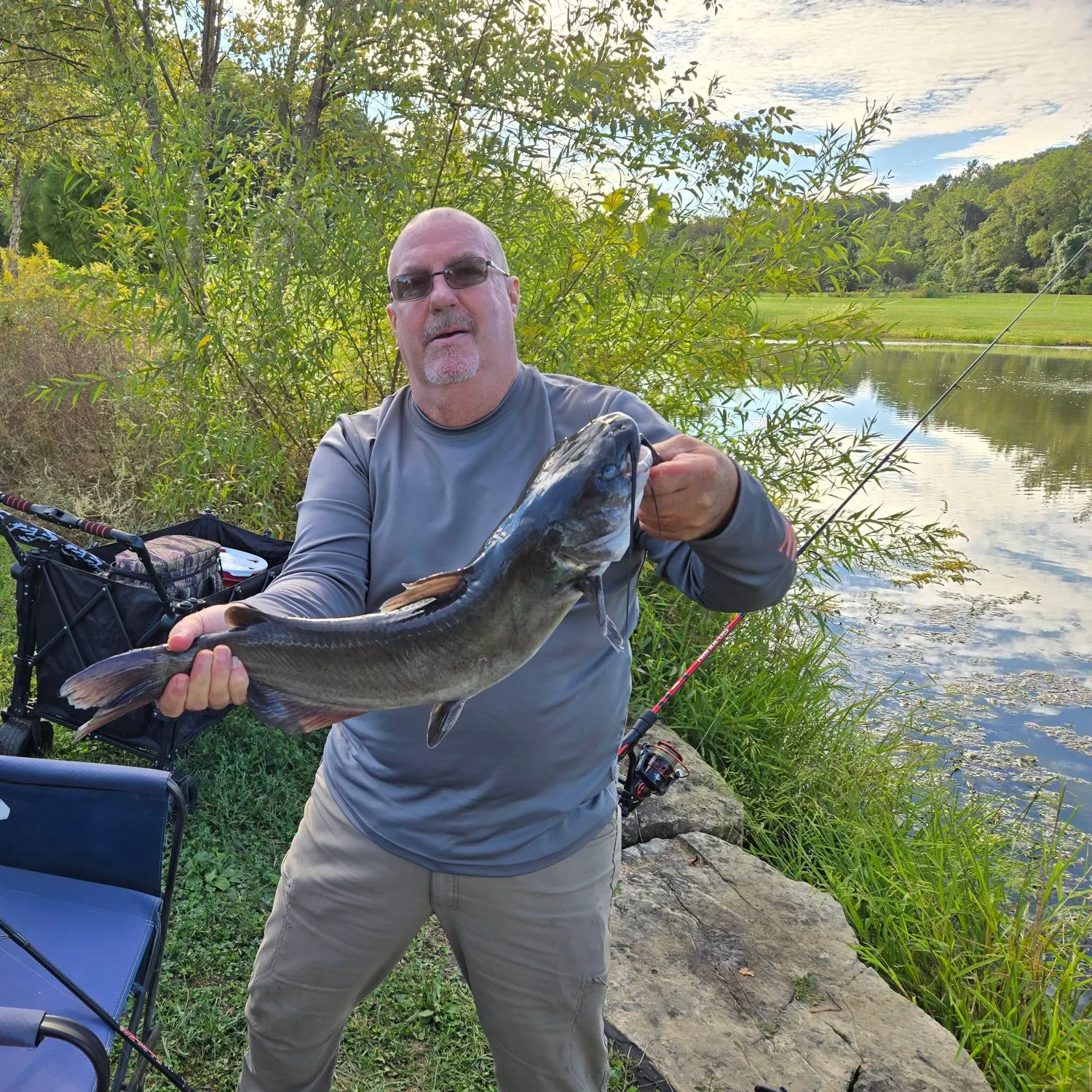 Channel catfish caught on Fishbrain