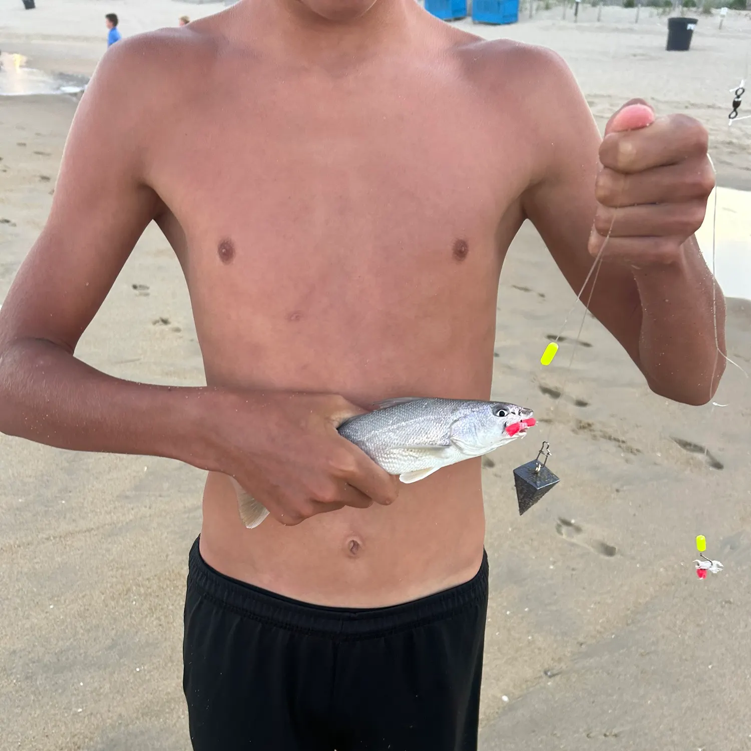 The most recent Silver seatrout catches on Fishbrain