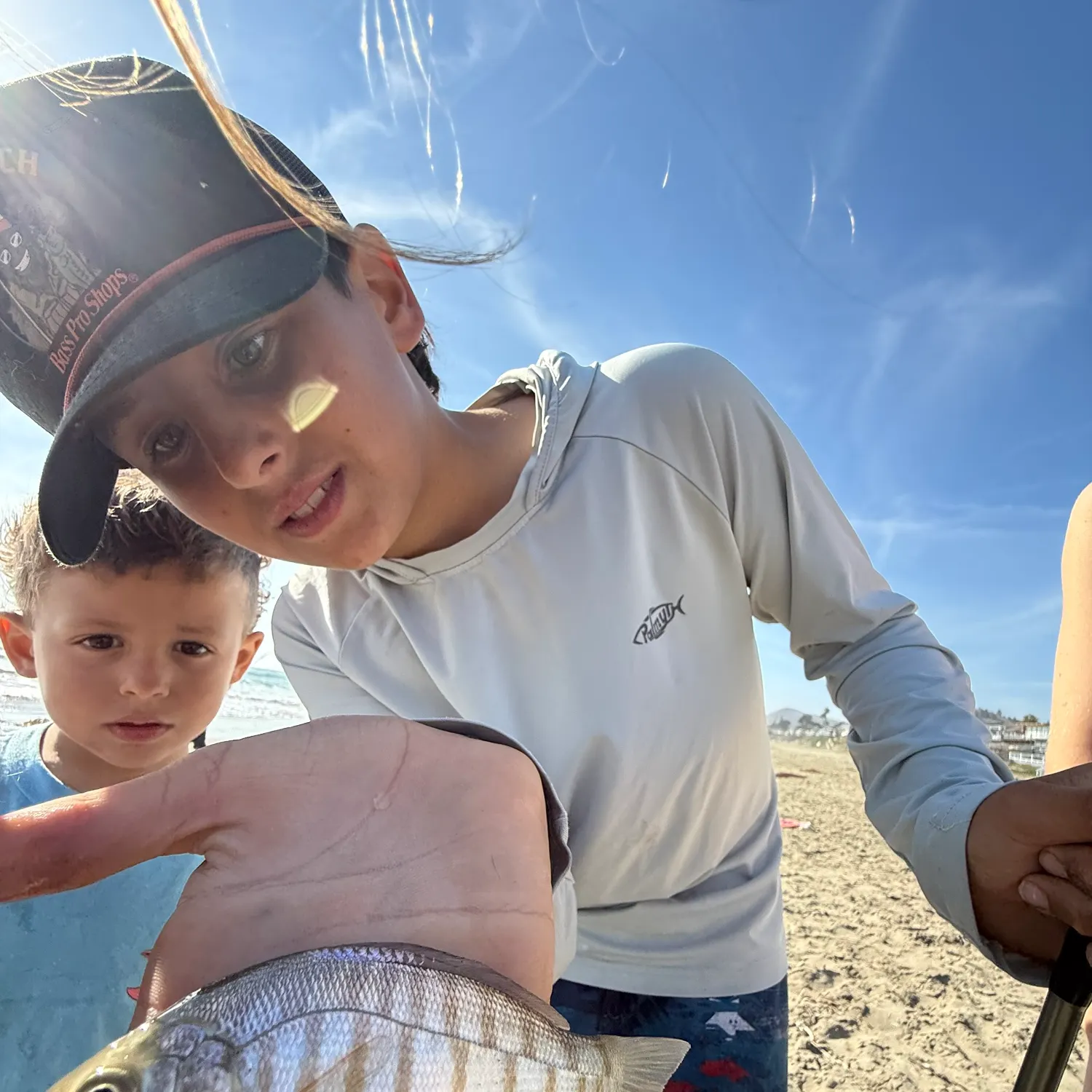 Barred surfperch caught on Fishbrain