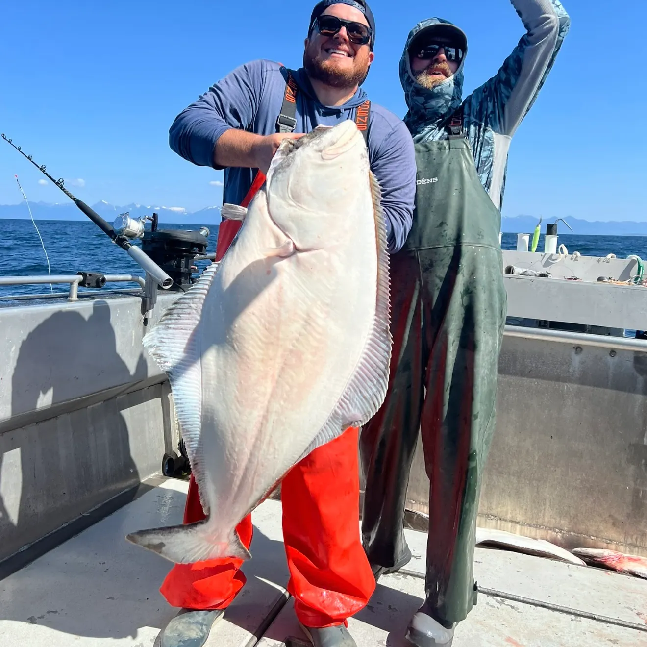 Pacific halibut caught on Fishbrain