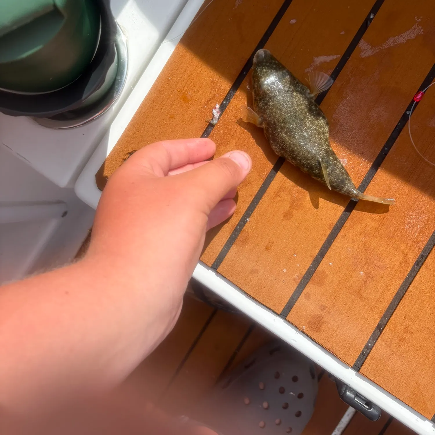 catch
