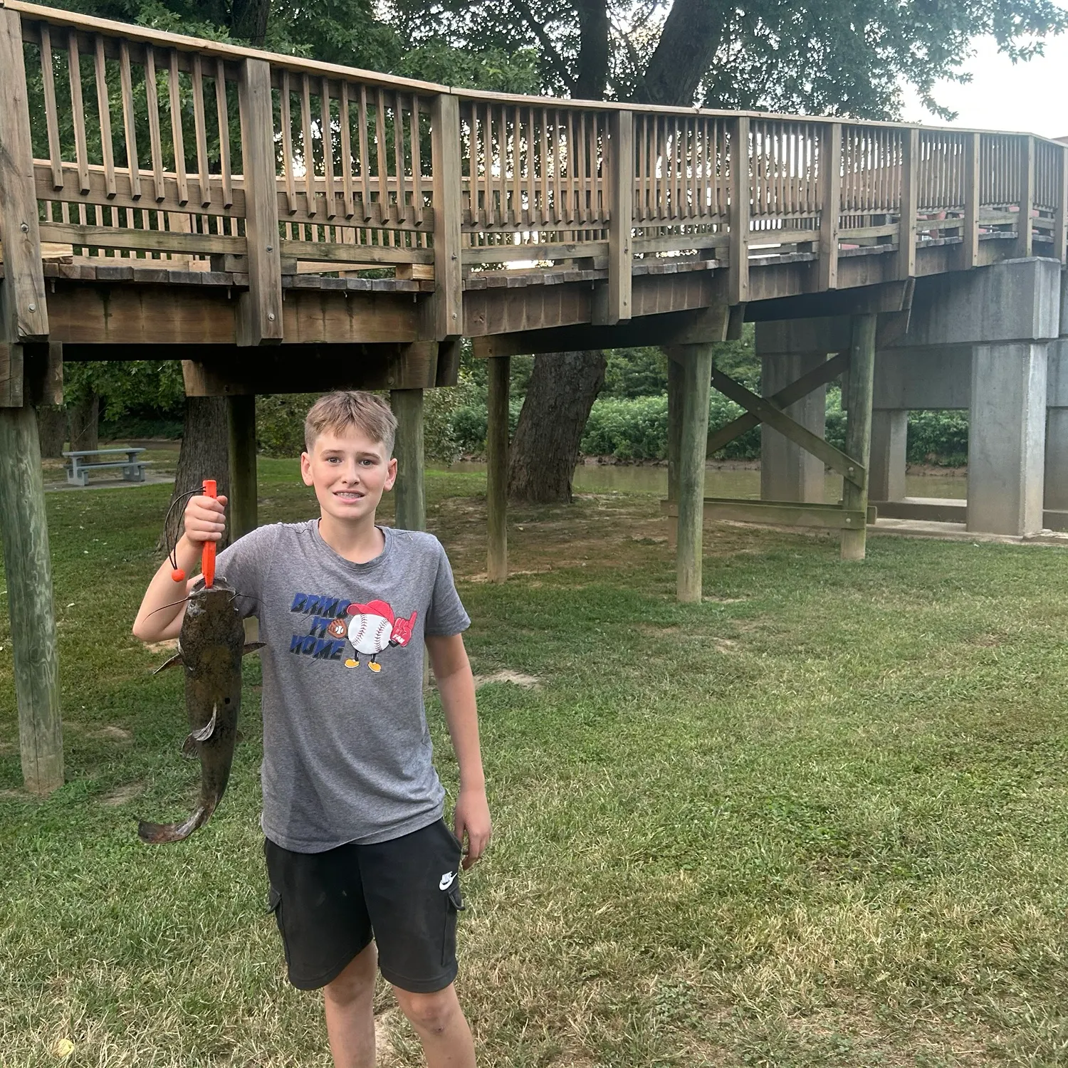 Flathead catfish caught on Fishbrain