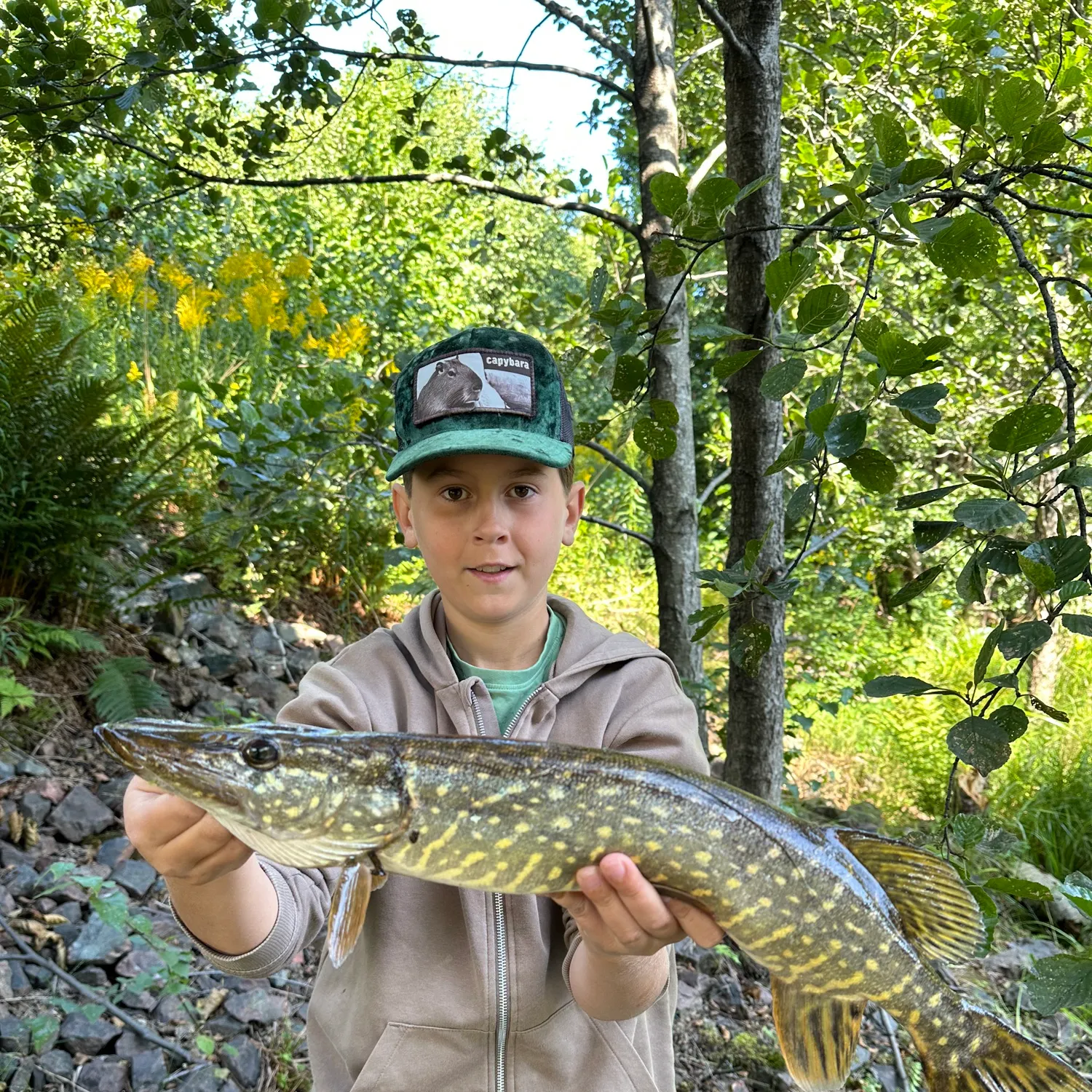 recently logged catches