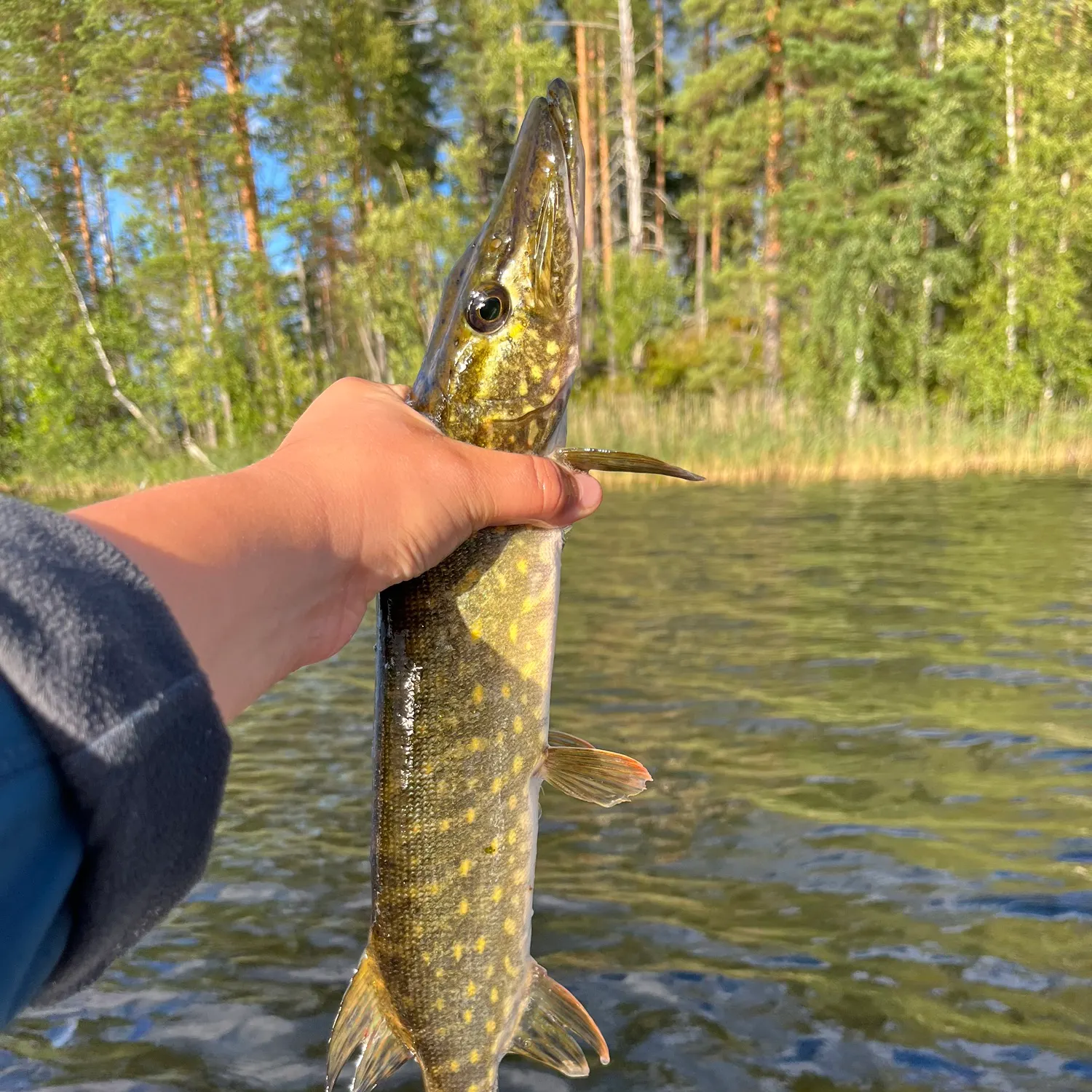 catch