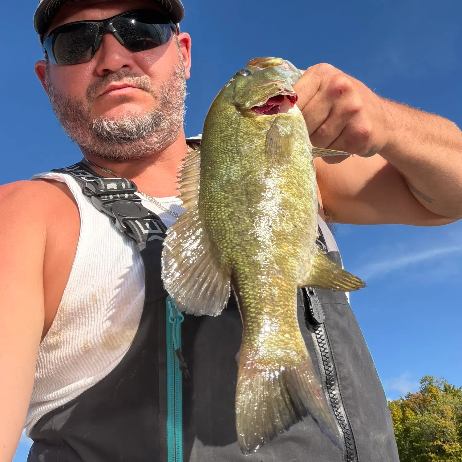 Smallmouth bass caught on Fishbrain