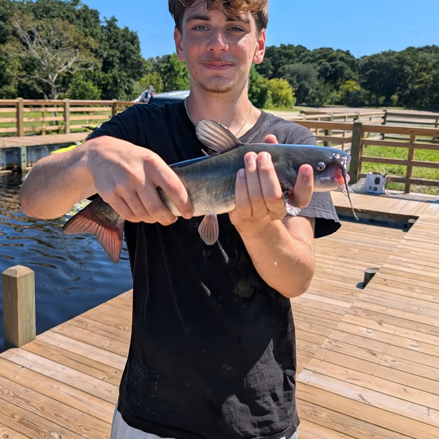 White bullhead caught on Fishbrain