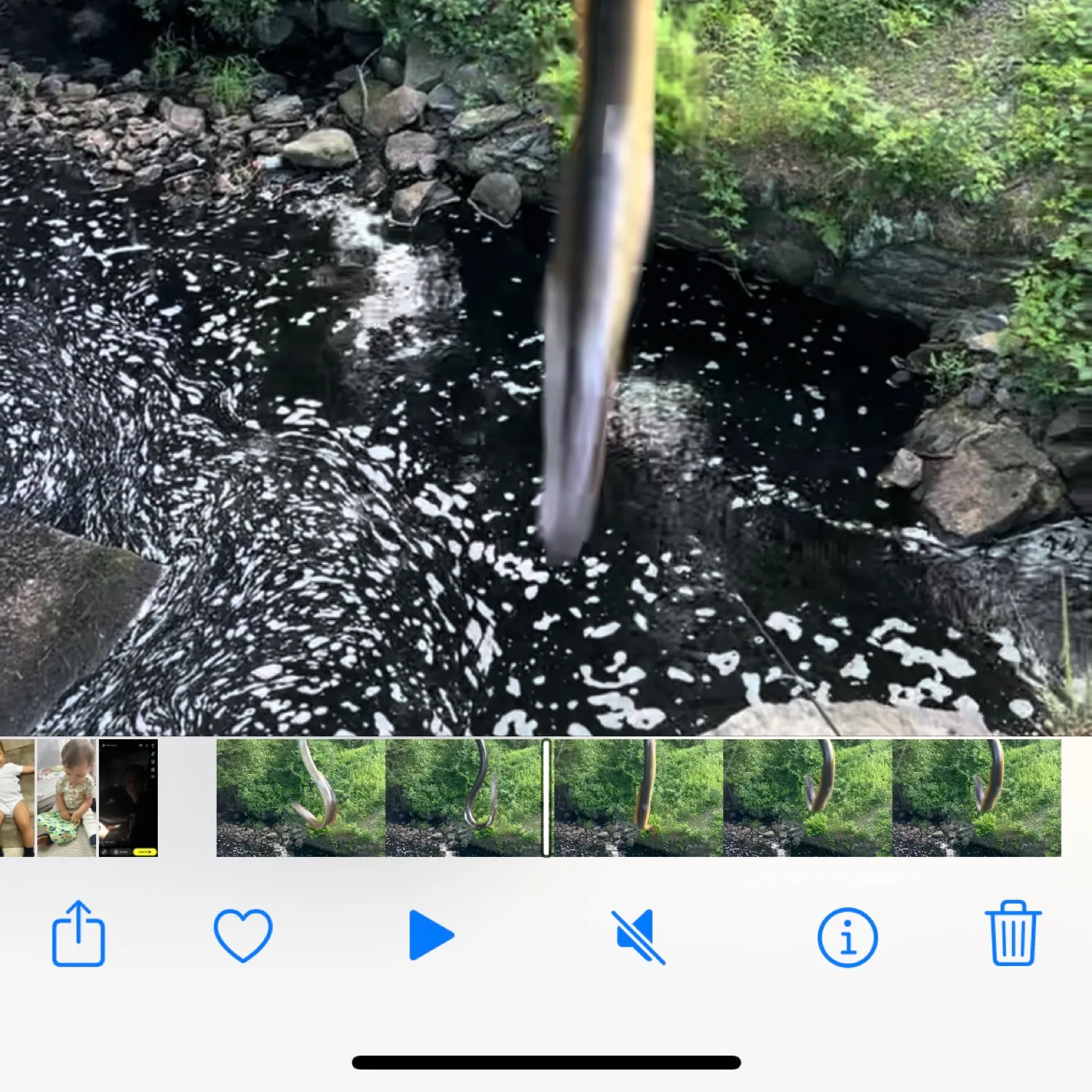 recently logged catches