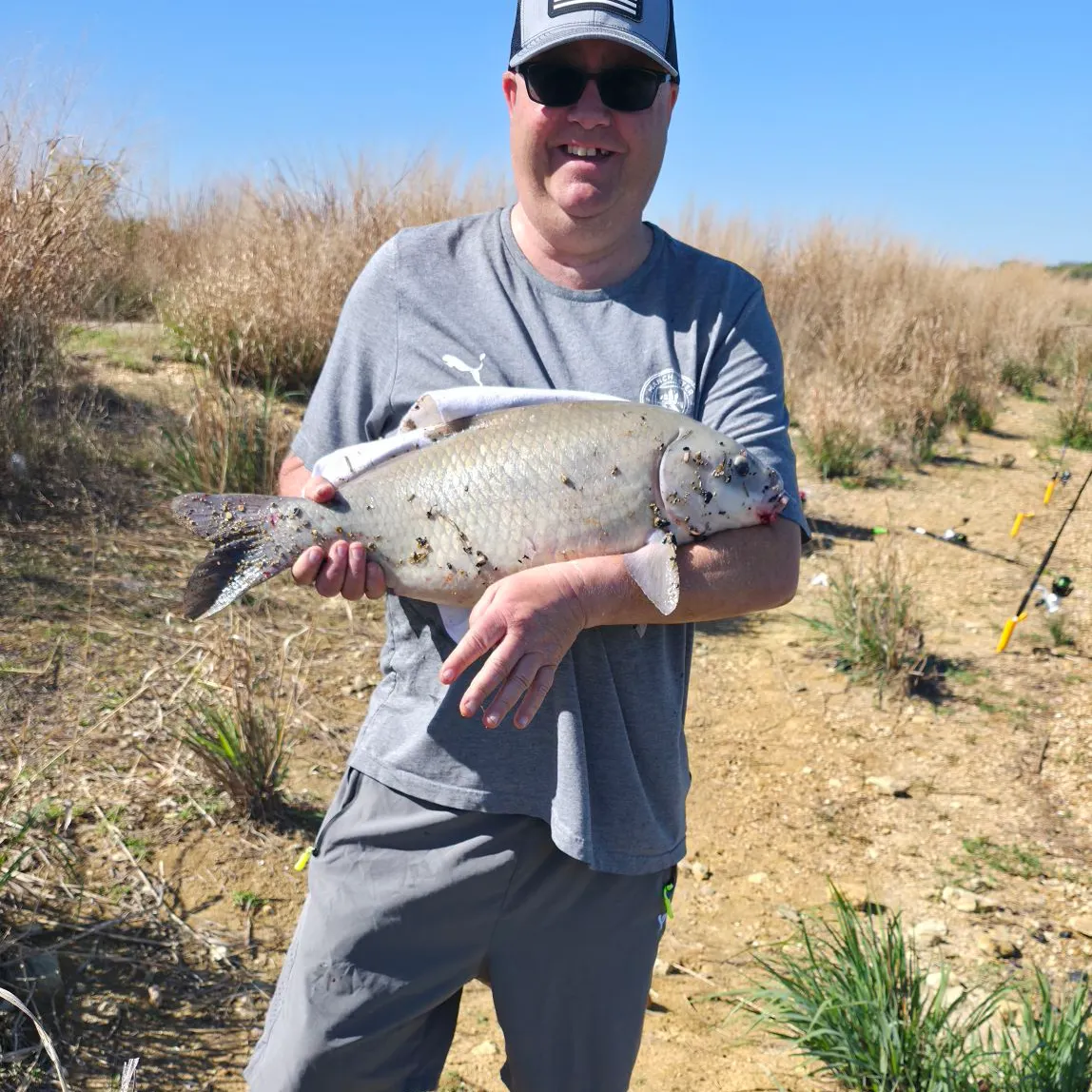 The most recent Smallmouth buffalo catches on Fishbrain