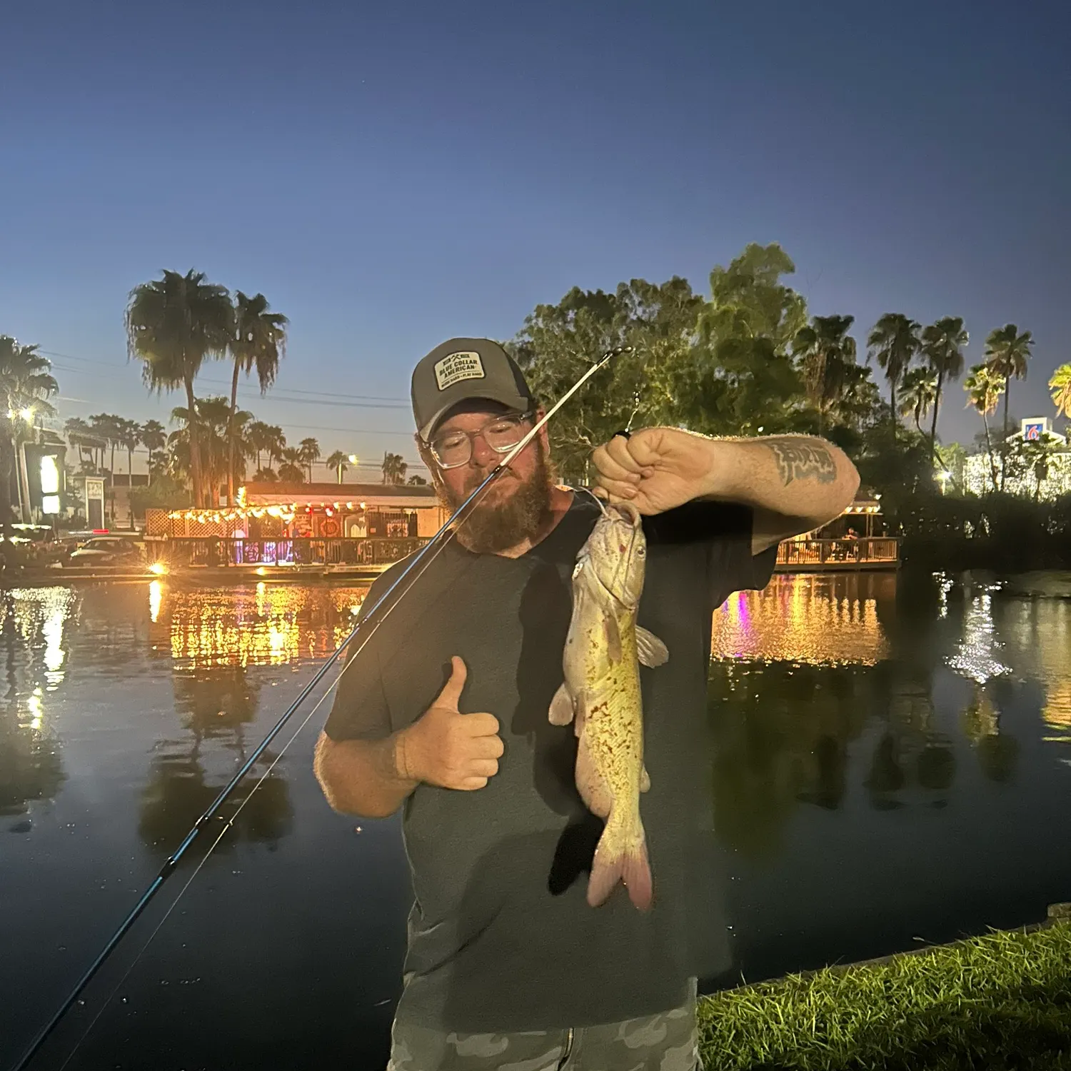 Channel catfish caught on Fishbrain