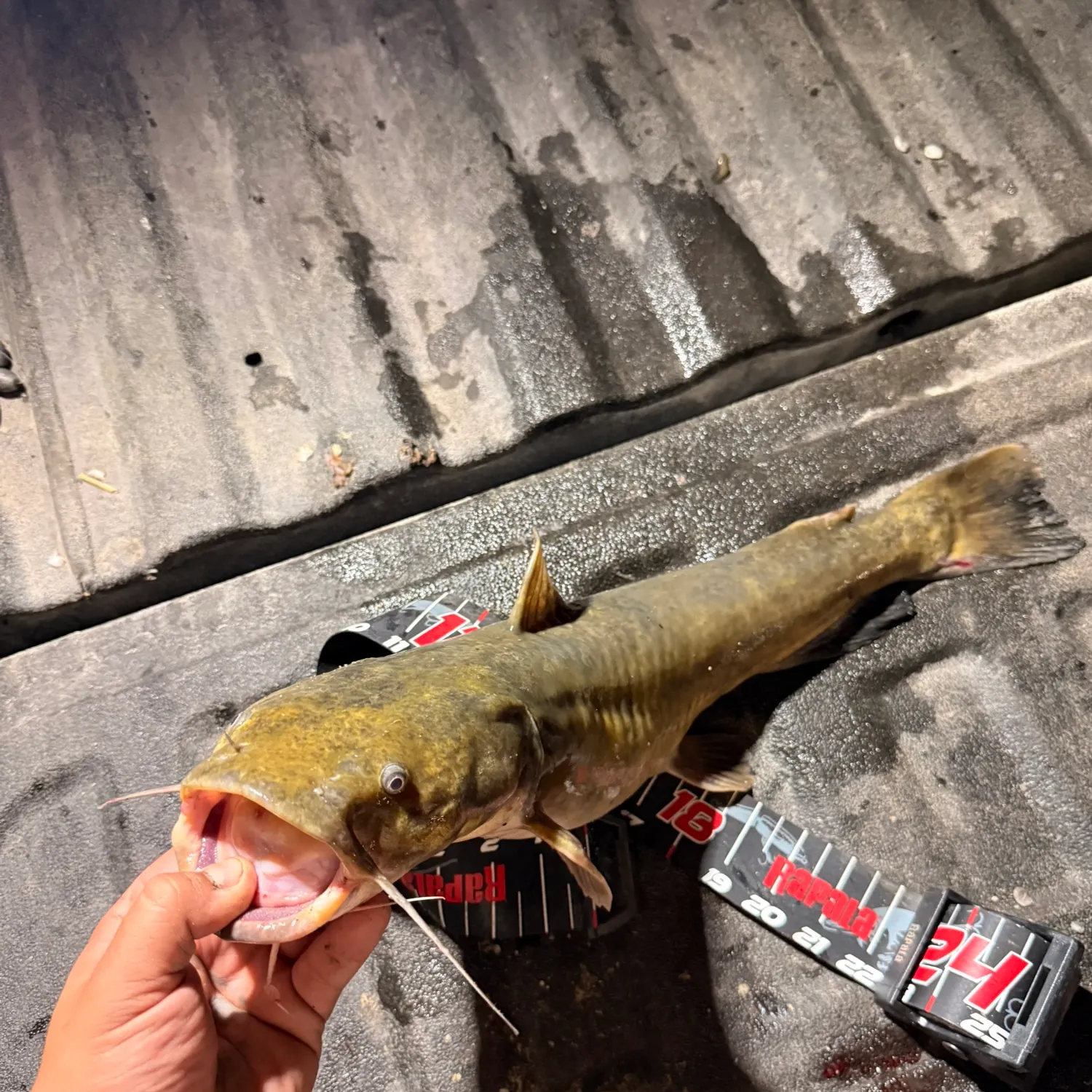 catch