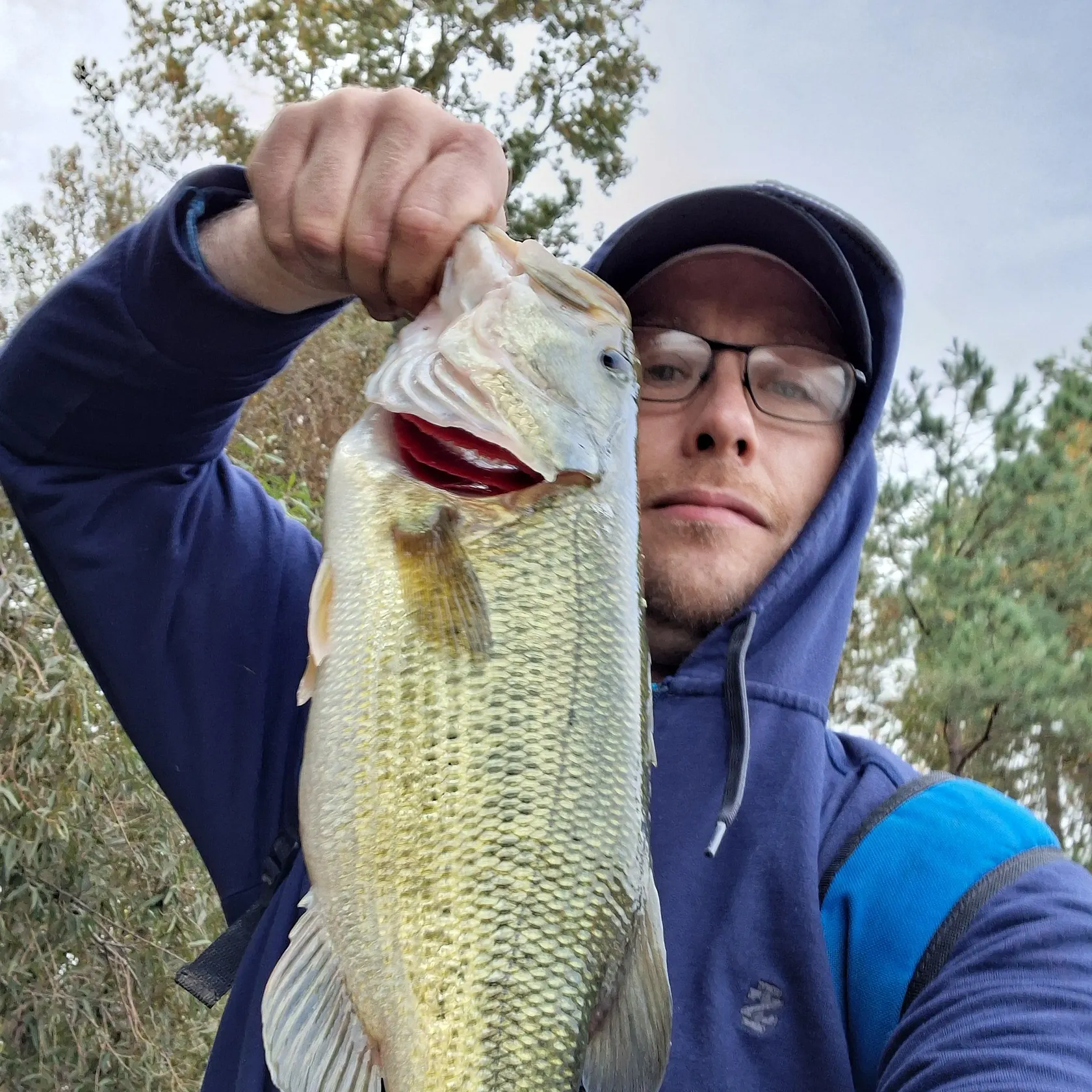 Largemouth bass caught on Fishbrain