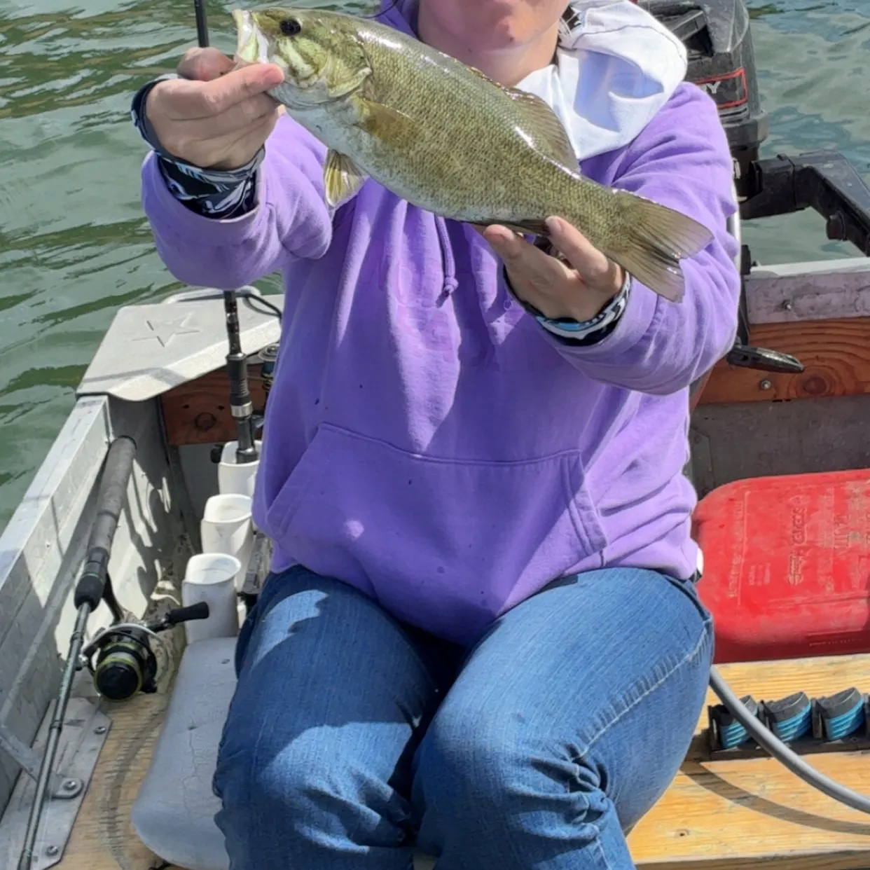 Smallmouth bass caught on Fishbrain