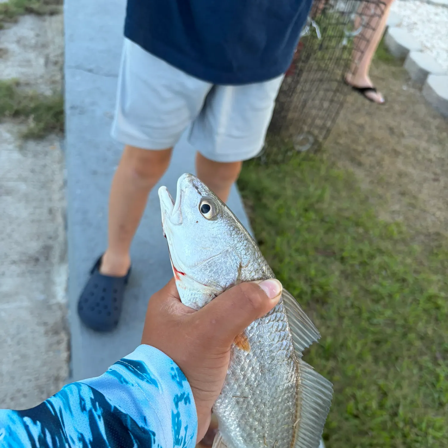 catch