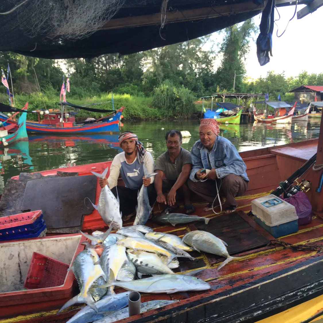 recently logged catches