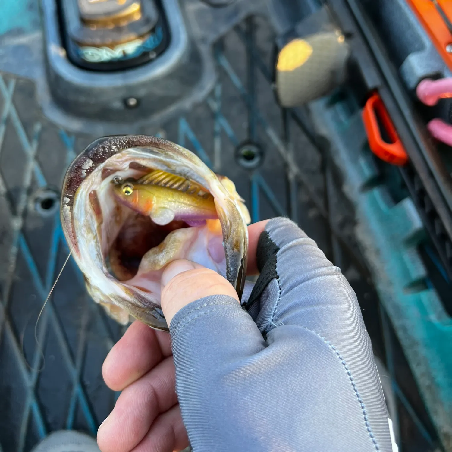 catch