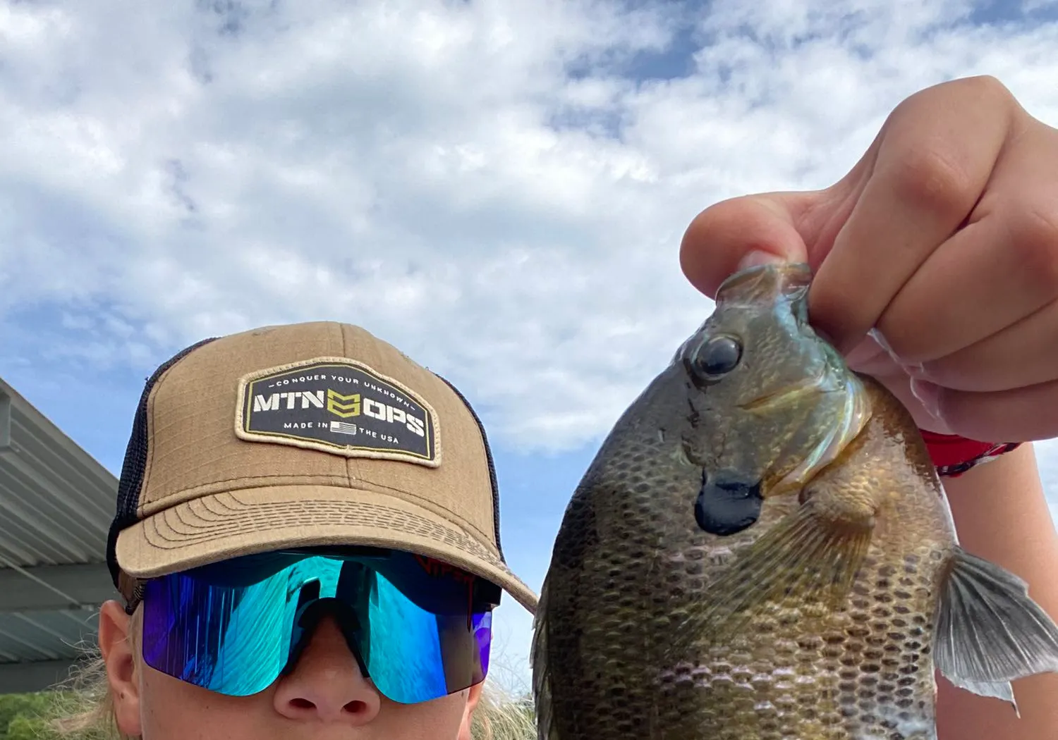 Bluegill