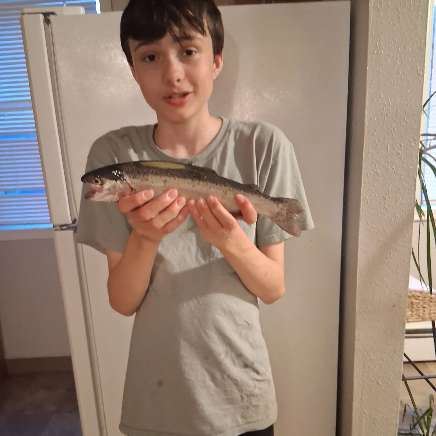 Rainbow trout caught on Fishbrain