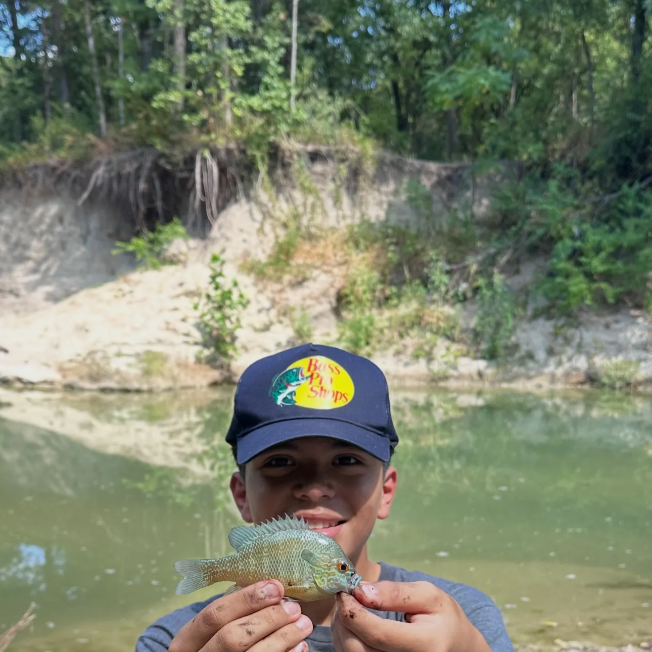 Longear sunfish caught on Fishbrain