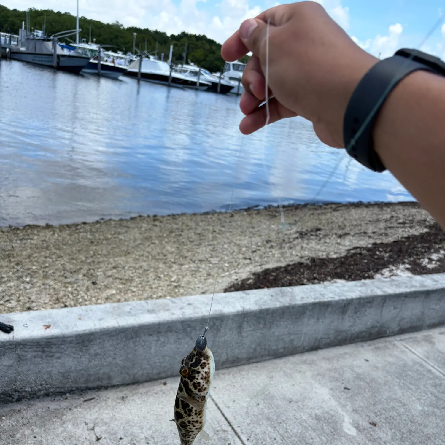 catch