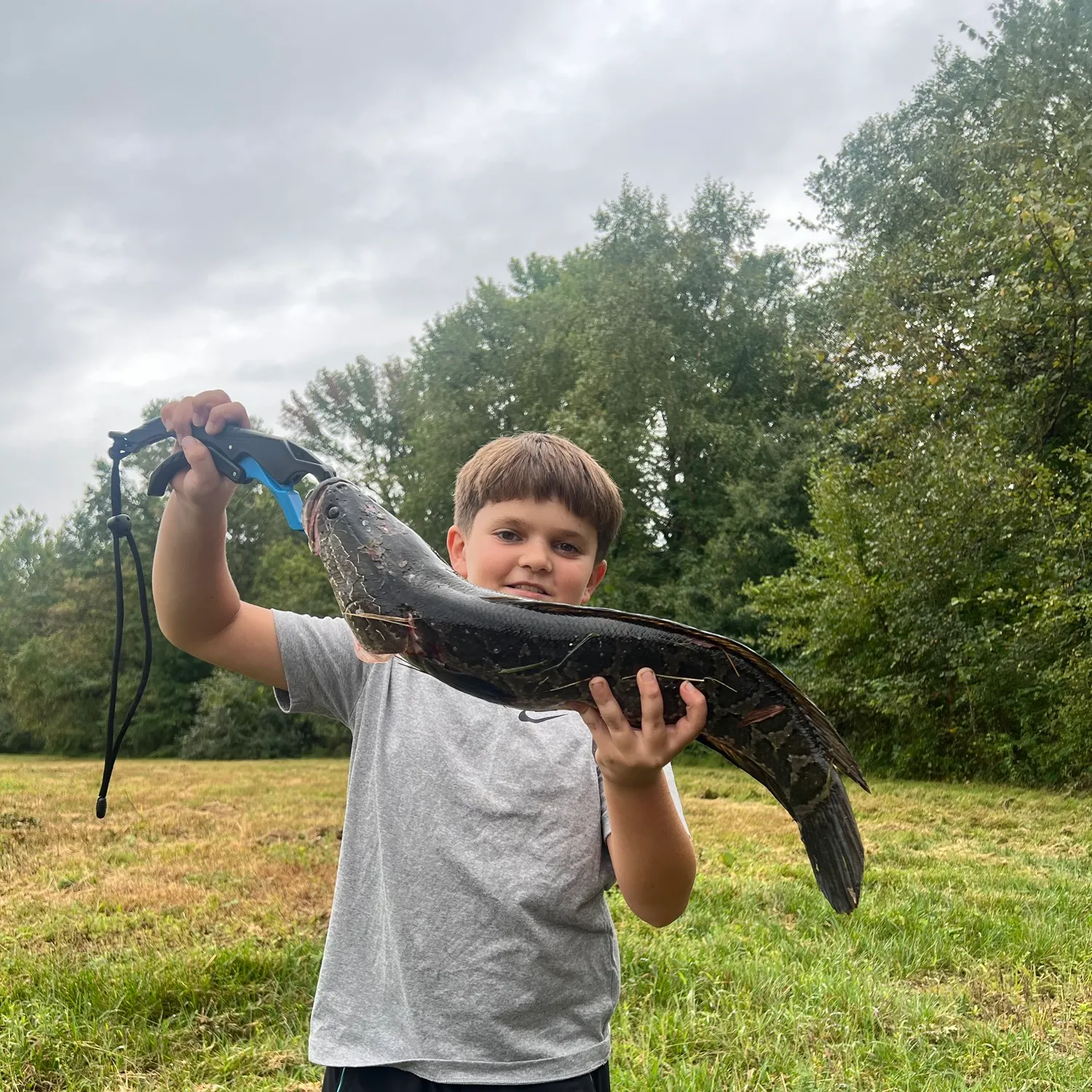 Northern snakehead caught on Fishbrain