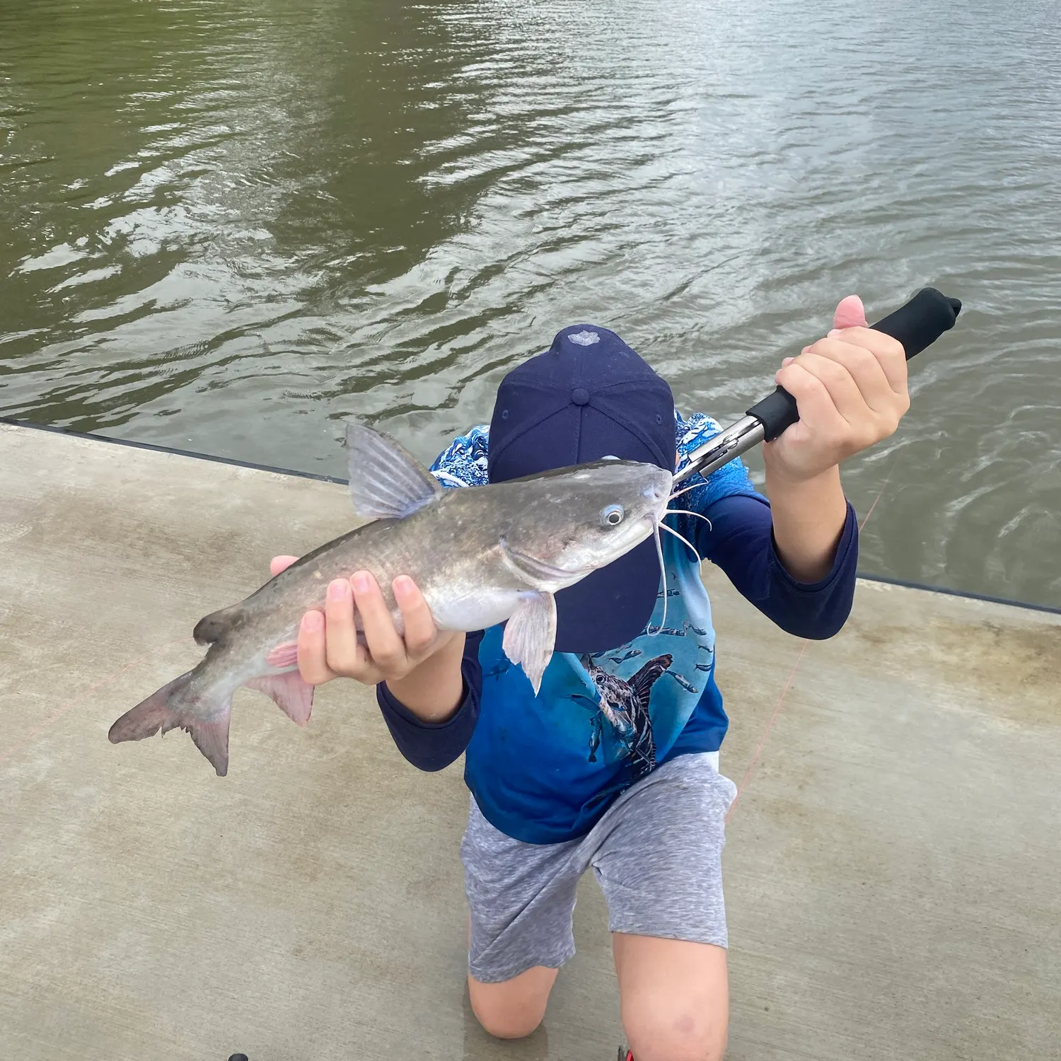Blue salmon catfish caught on Fishbrain