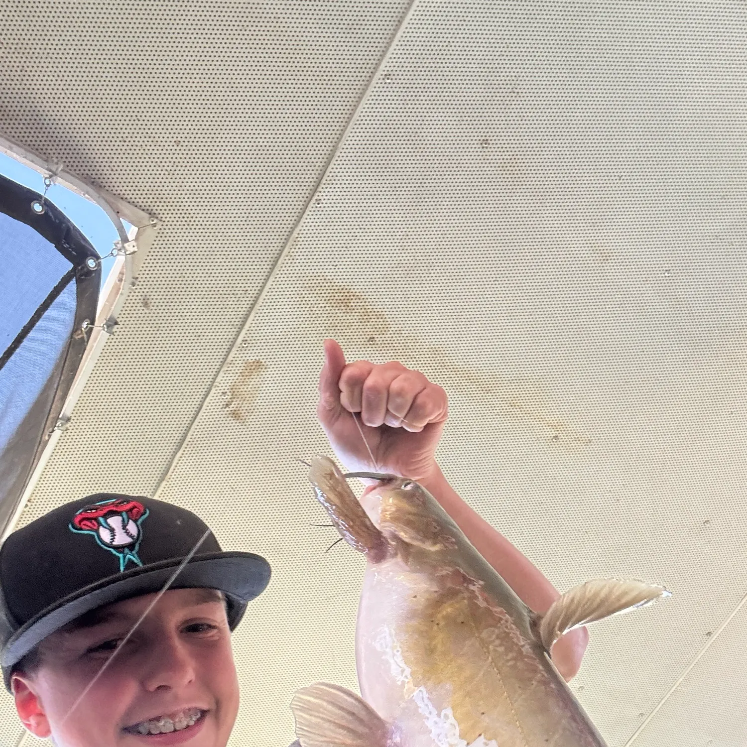 Channel catfish caught on Fishbrain