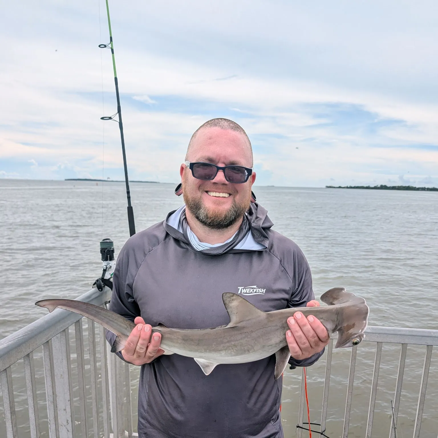 The most recent Scalloped hammerhead shark catches on Fishbrain