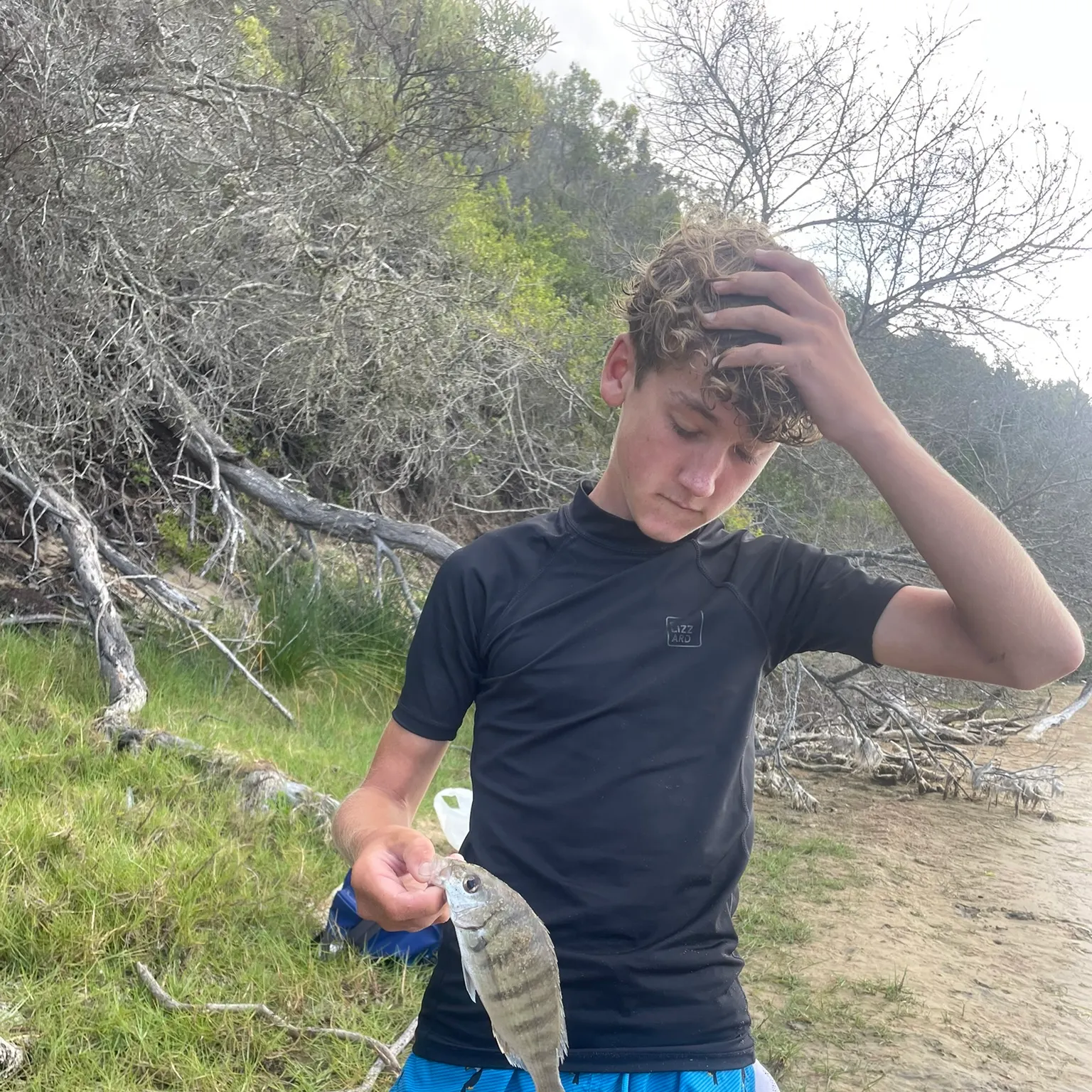 The most recent Striped seabream catches on Fishbrain