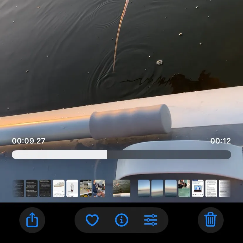 The most recent Atlantic stingray catches on Fishbrain