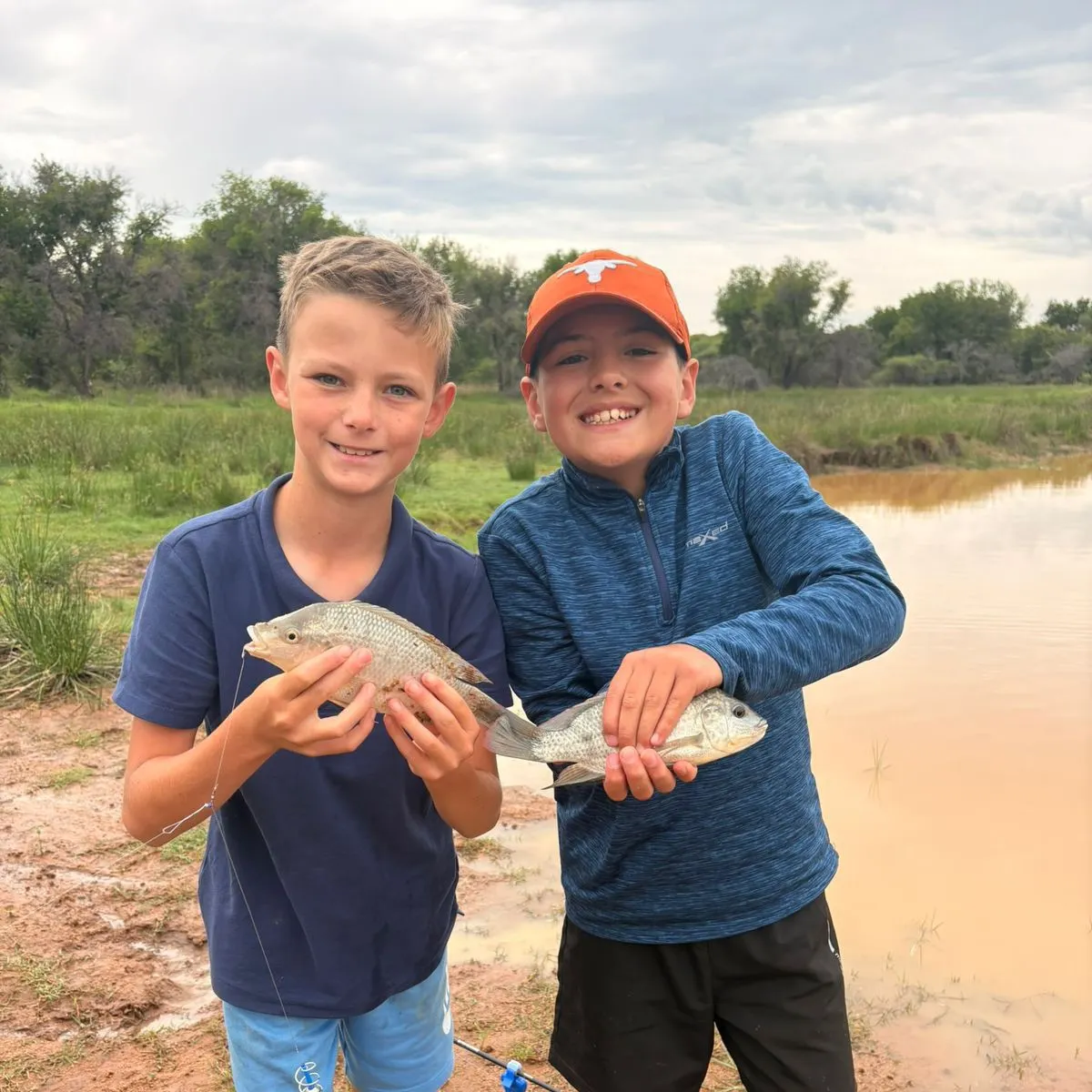 The most recent Mozambique tilapia catches on Fishbrain