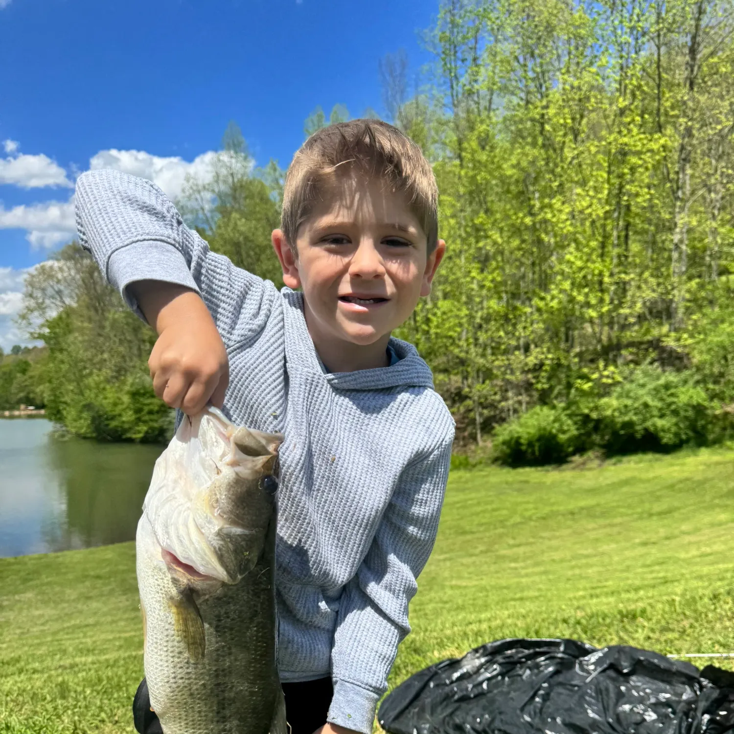 Spotted bass caught on Fishbrain