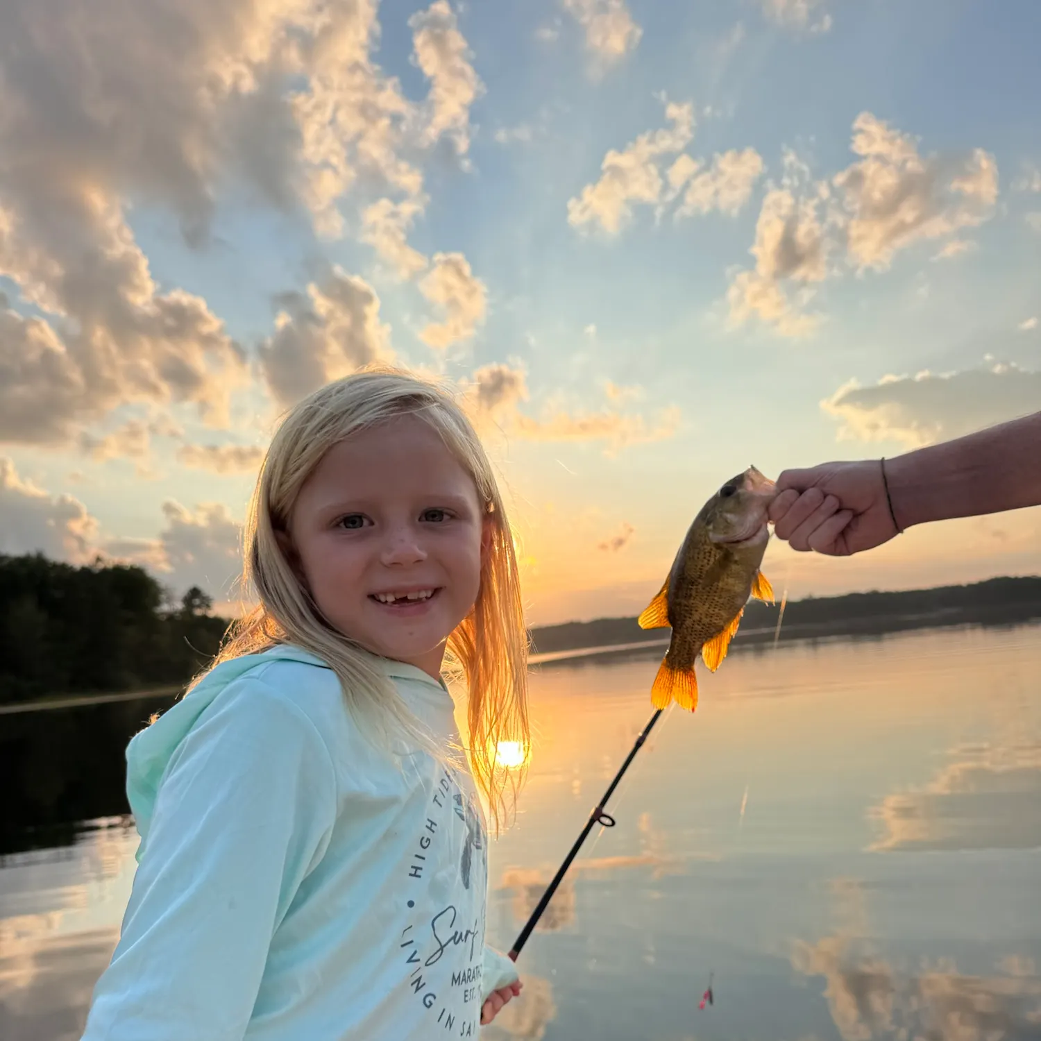 Rock bass caught on Fishbrain