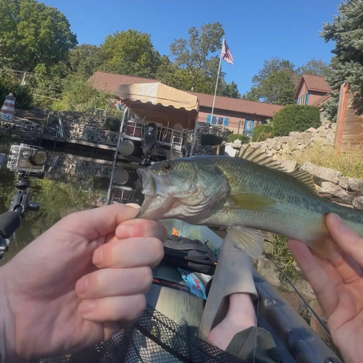 Largemouth bass caught on Fishbrain