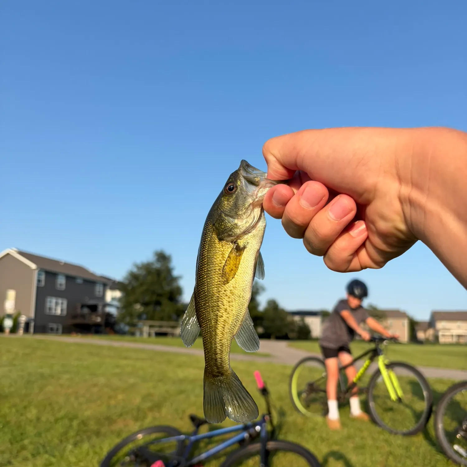 catch