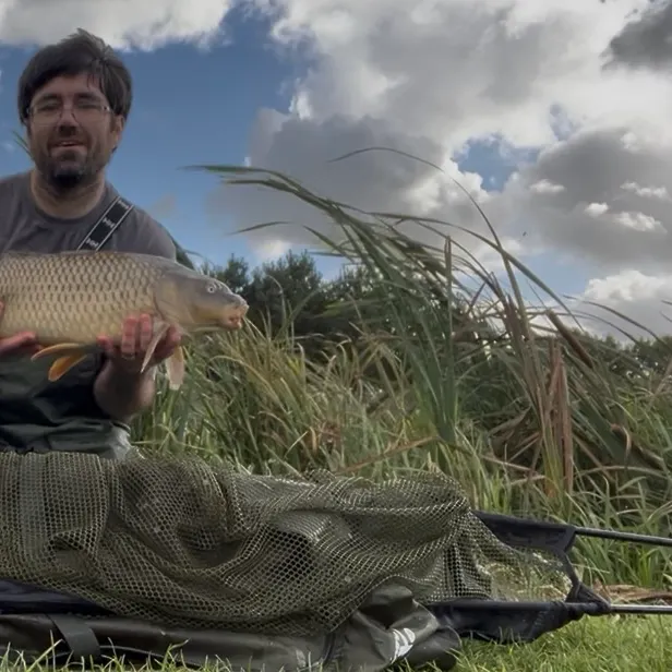 Common carp caught on Fishbrain