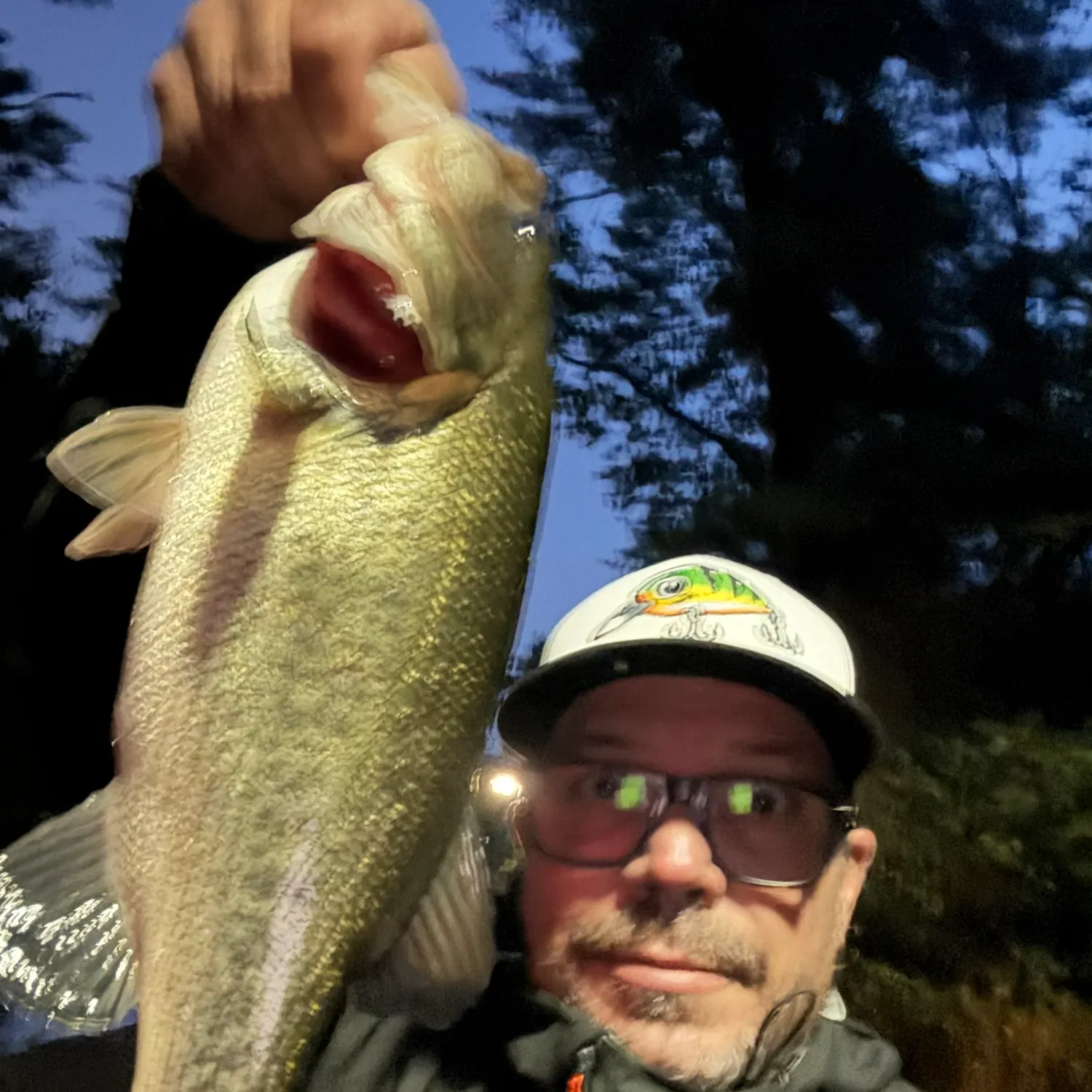 Largemouth bass caught on Fishbrain