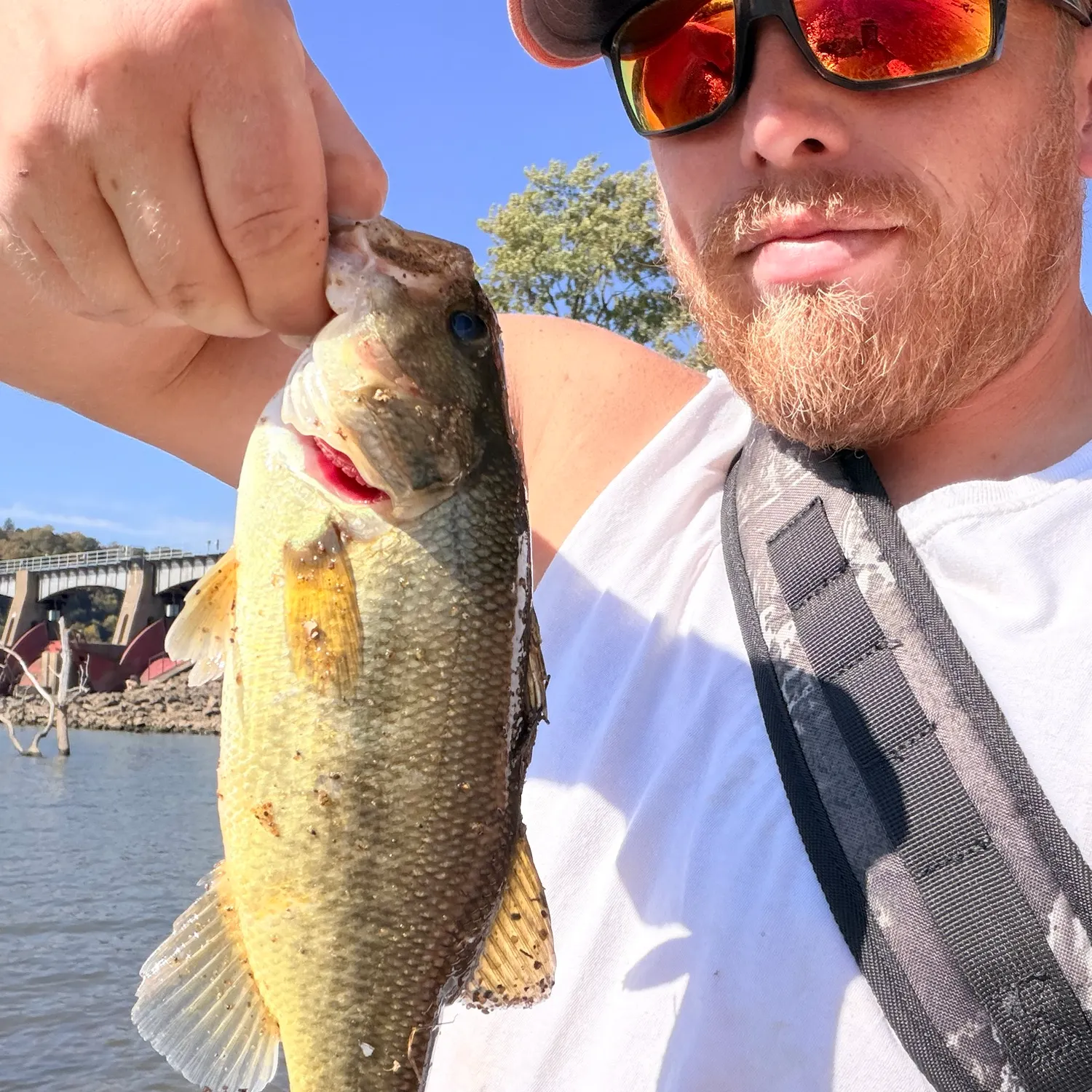 Smallmouth bass caught on Fishbrain