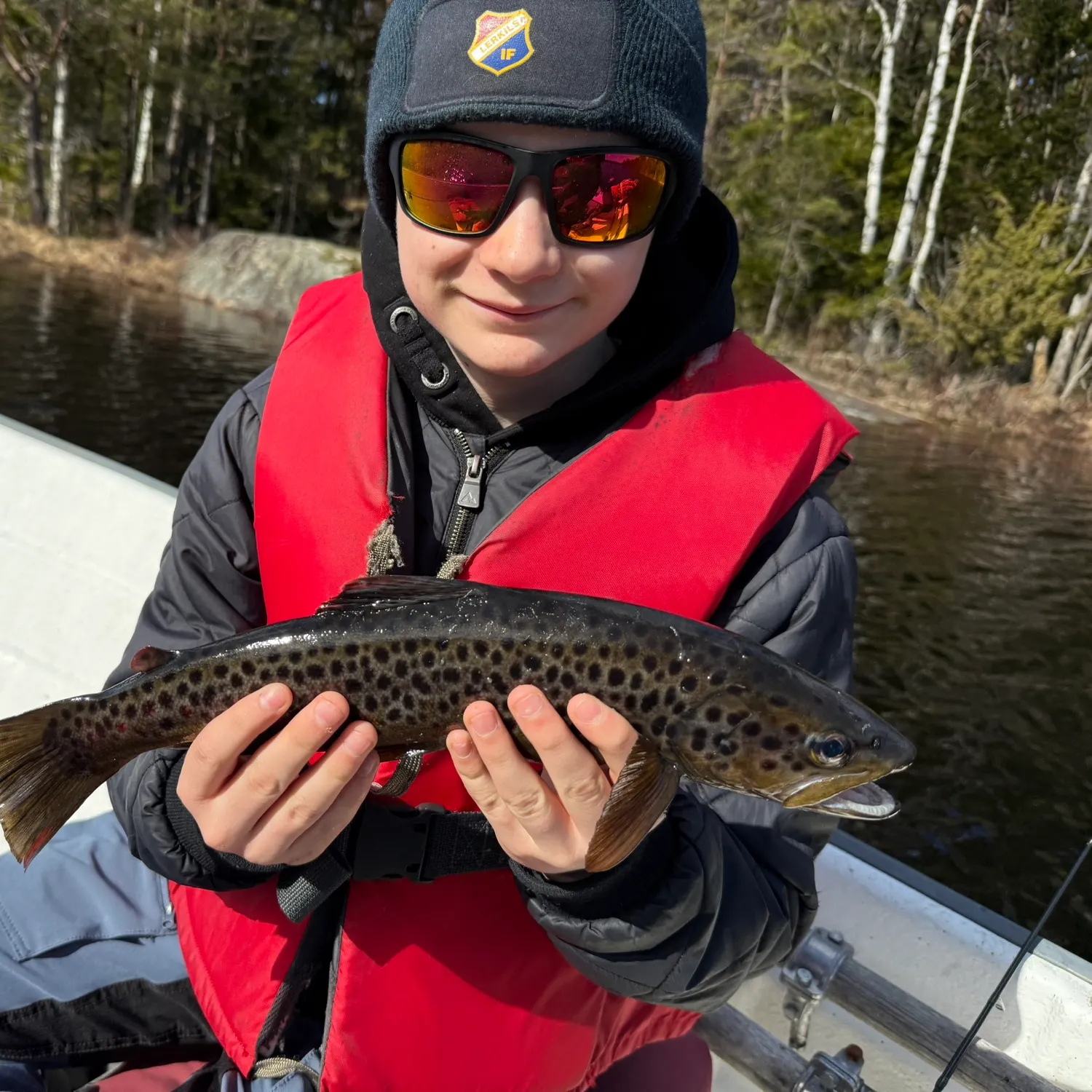 The most recent Lake trout catches on Fishbrain