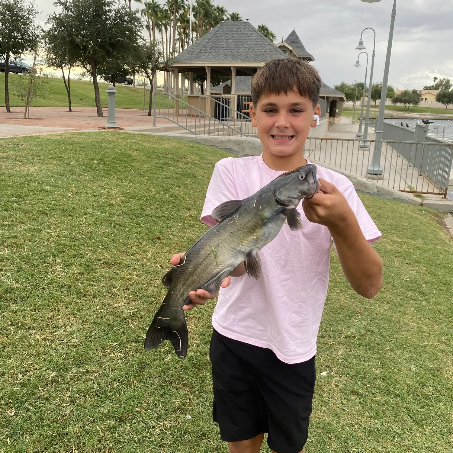 Channel catfish caught on Fishbrain