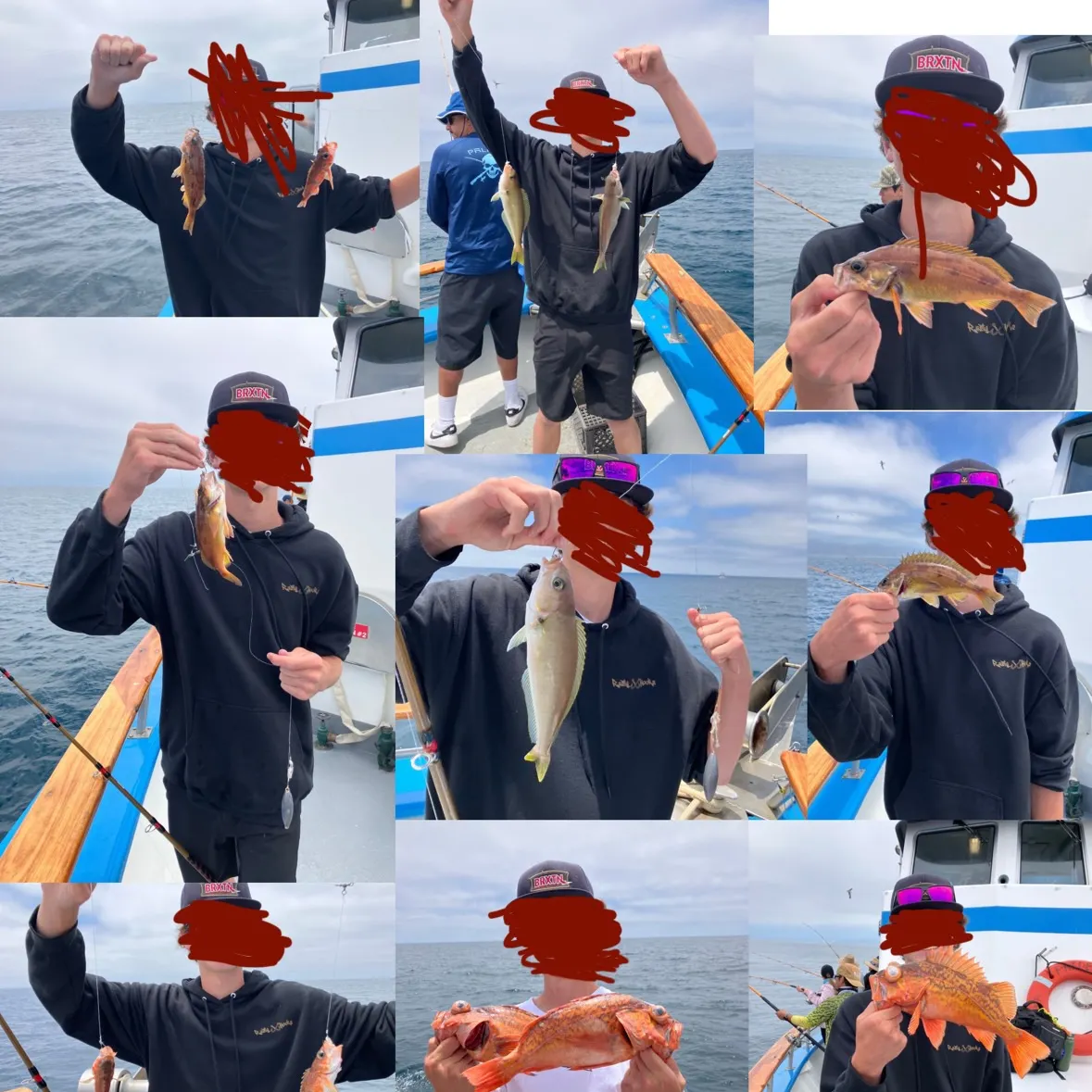 recently logged catches