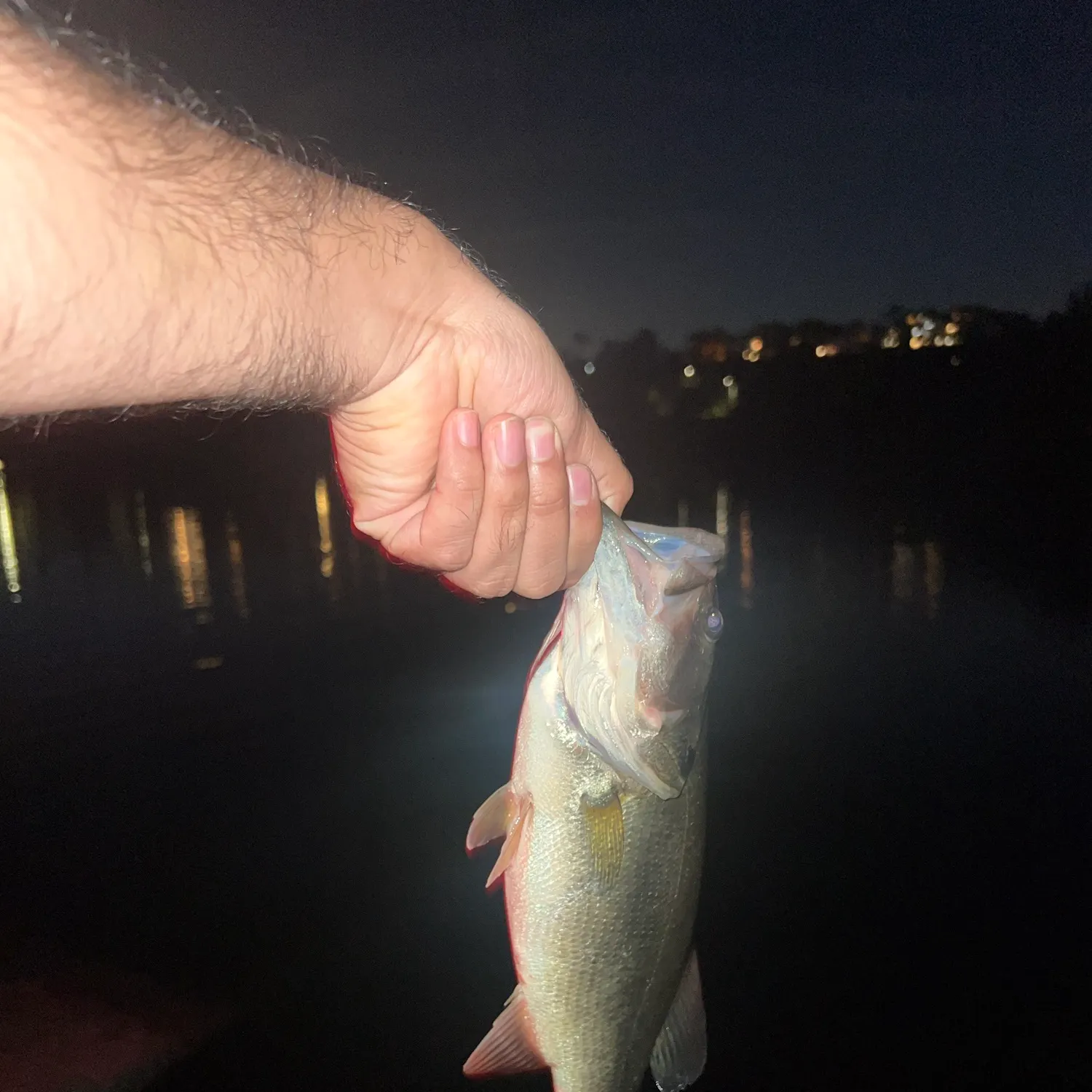Fish caught on Fishbrain