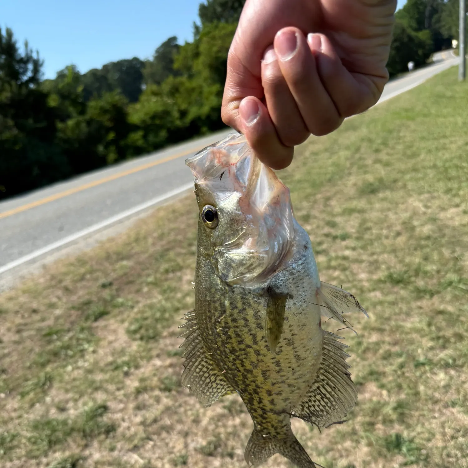 catch