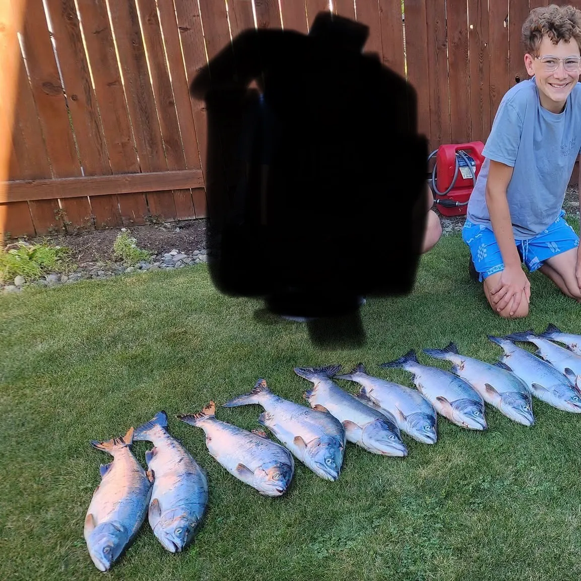 The most recent Pink salmon catches on Fishbrain