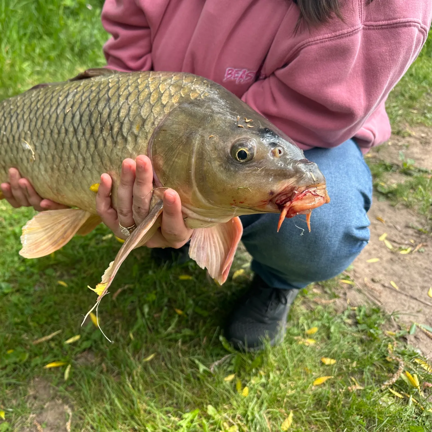 catch