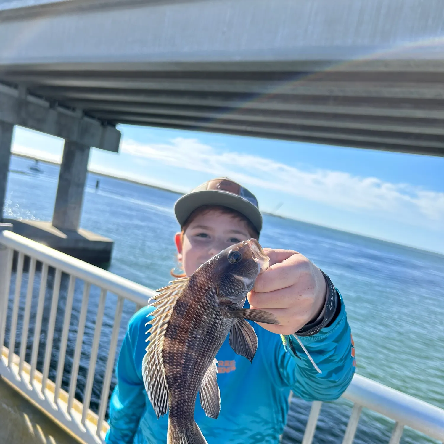 Black sea bass caught on Fishbrain