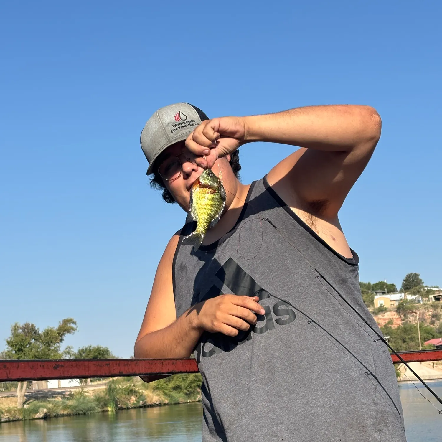 Fish caught on Fishbrain